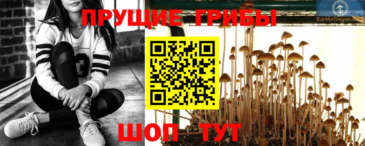 Псилоцибиновые грибы мухоморы Знаменск