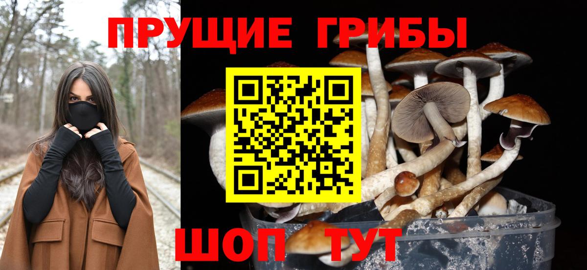 Знаменск  Псилоцибиновые грибы Cubensis  Галлюциногенные грибы ЛСД  Вход с VPN 